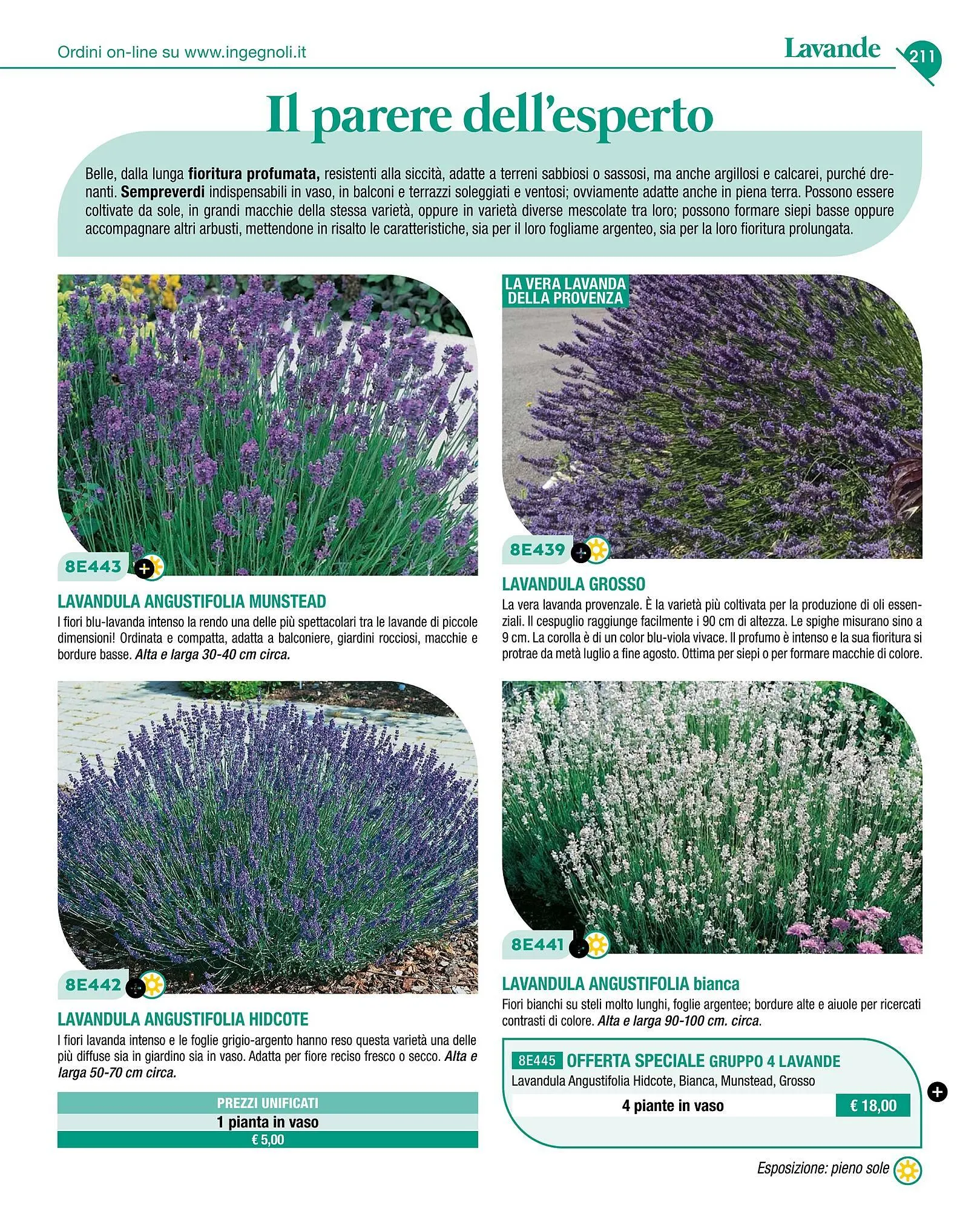 Volantino Ingegnoli da 4 novembre a 31 dicembre di 2025 - Pagina del volantino 213