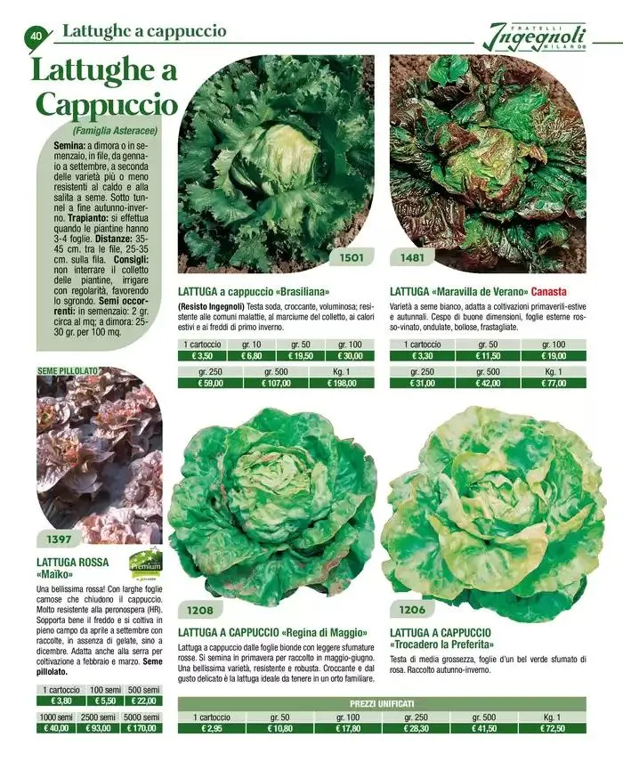 Novita 2025 da 4 novembre a 31 dicembre di 2025 - Pagina del volantino 39