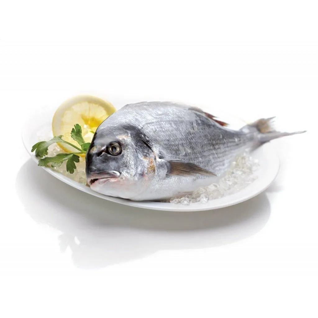 1 x Orata allevata Croazia