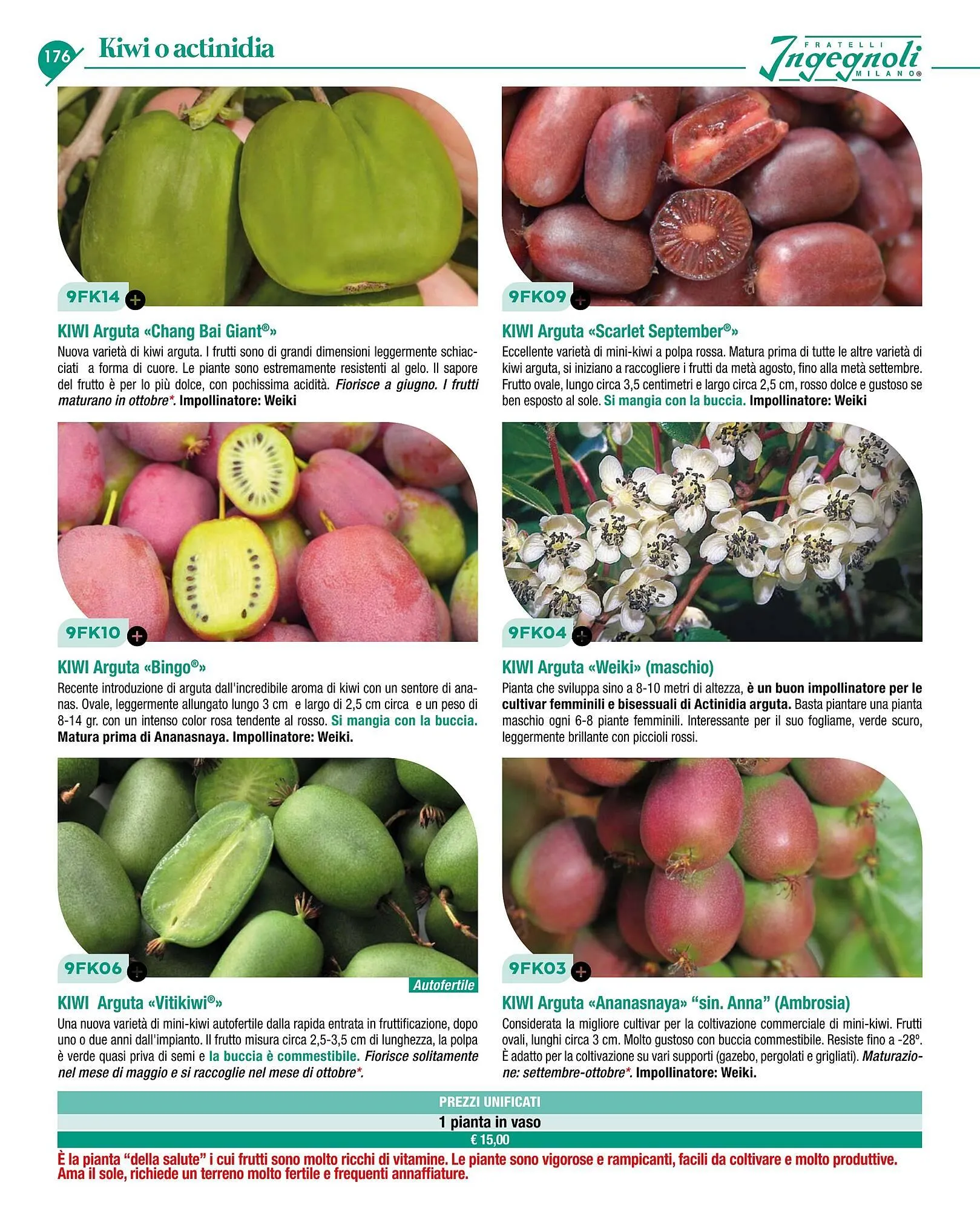 Volantino Ingegnoli da 4 novembre a 31 dicembre di 2025 - Pagina del volantino 178