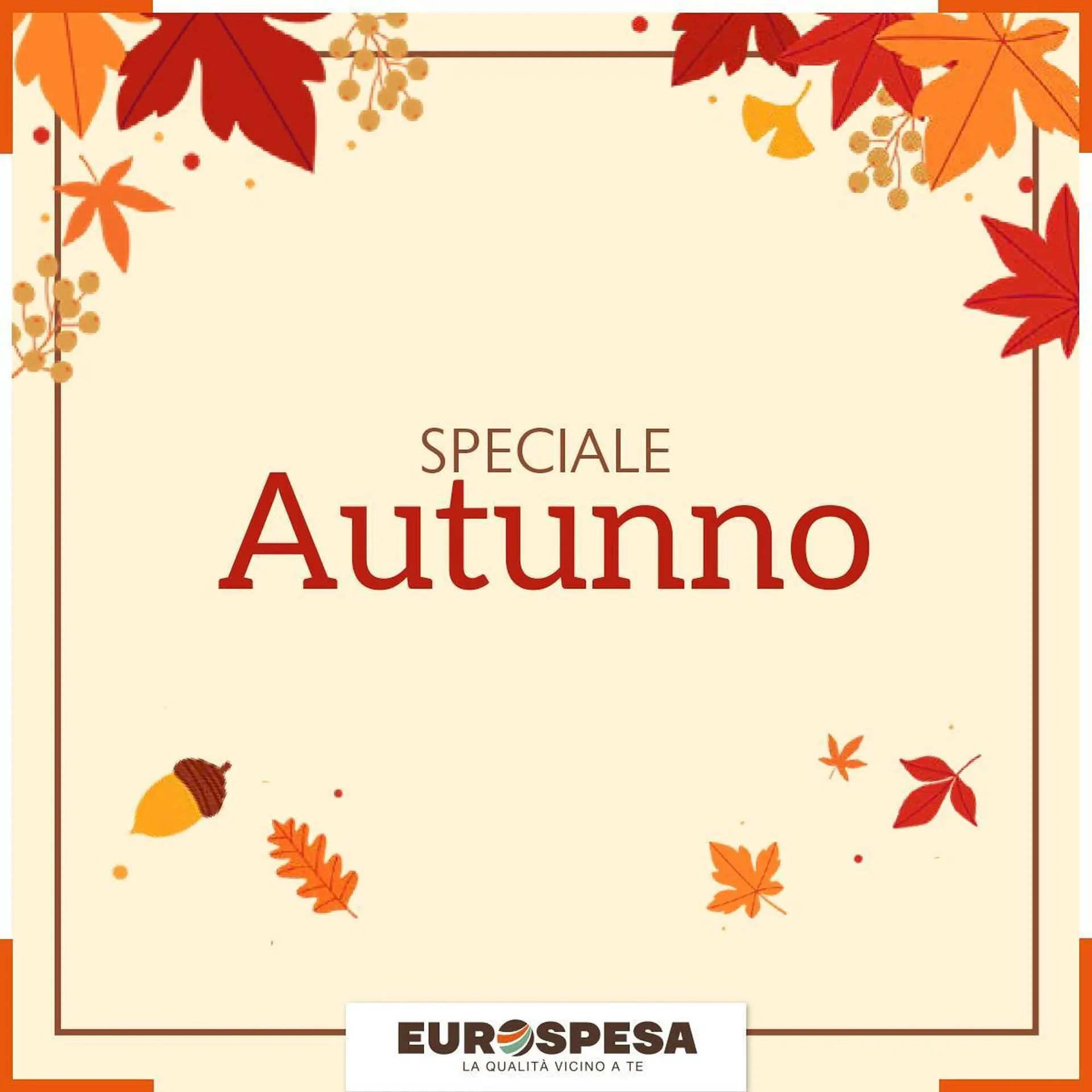 Volantino Belmarket - 1