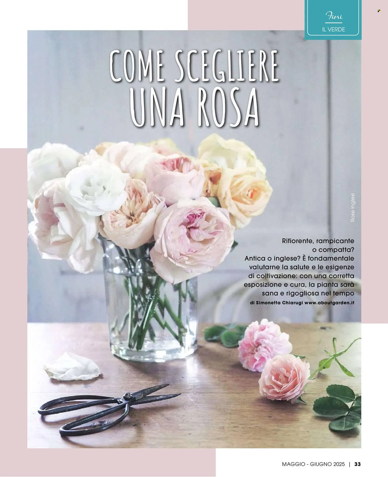 Volantino Pan da 1 maggio a 30 giugno di 2025 - Pagina del volantino 34