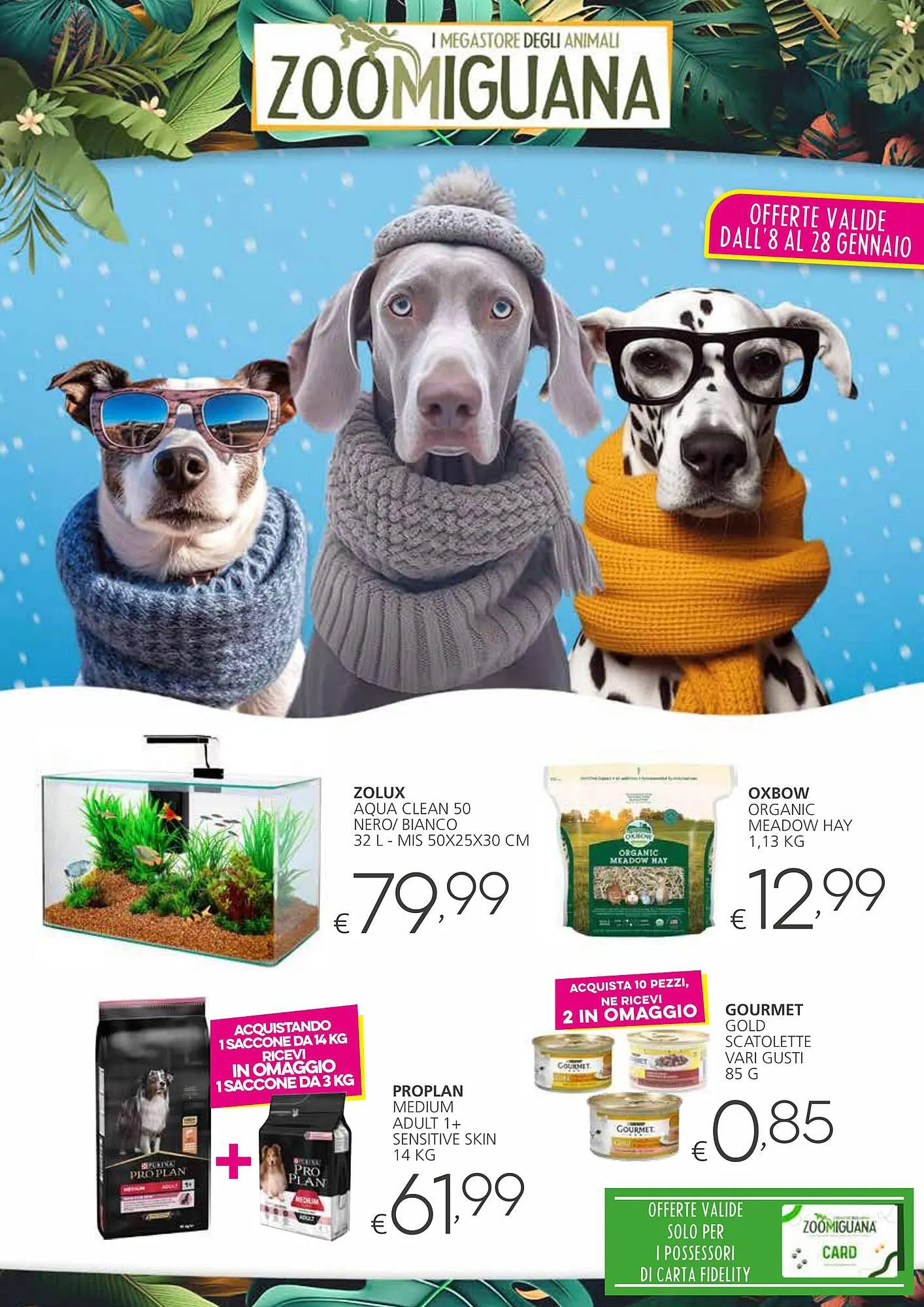 Volantino Zoomiguana da 8 gennaio a 28 gennaio di 2024 - Pagina del volantino 