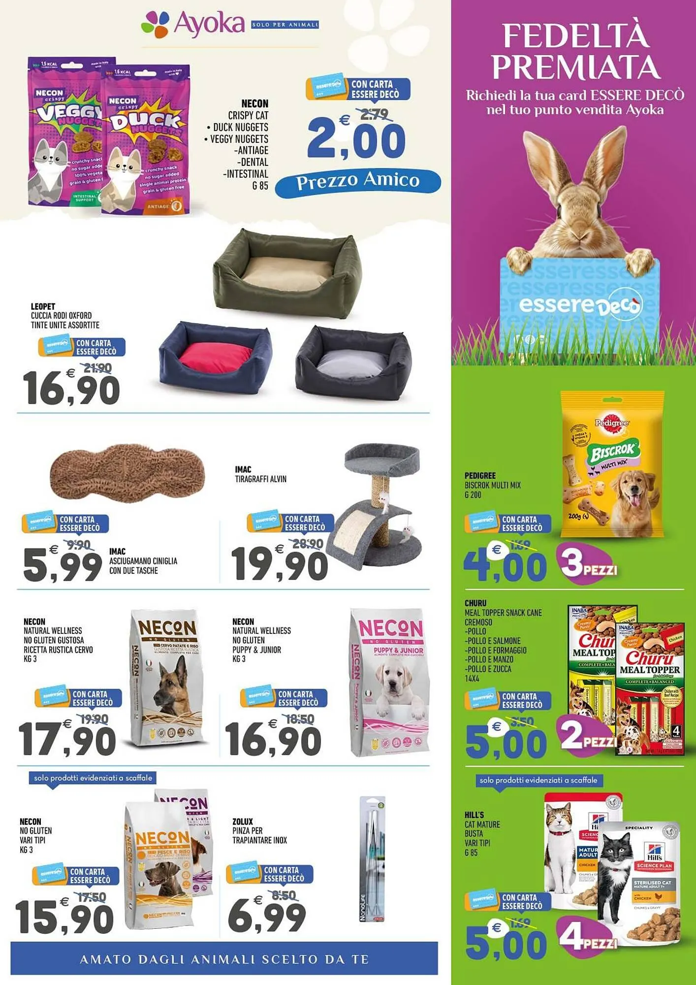 Volantino Ayoka da 23 febbraio a 15 marzo di 2026 - Pagina del volantino 3