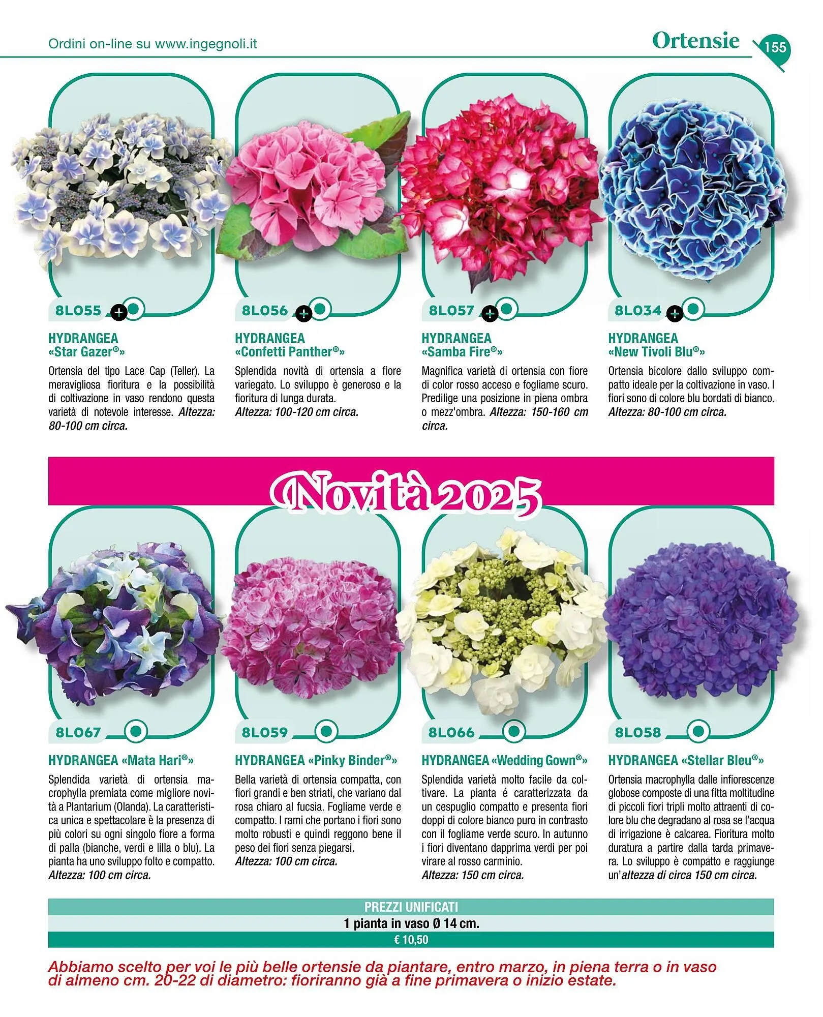 Volantino Ingegnoli da 4 novembre a 31 dicembre di 2025 - Pagina del volantino 157