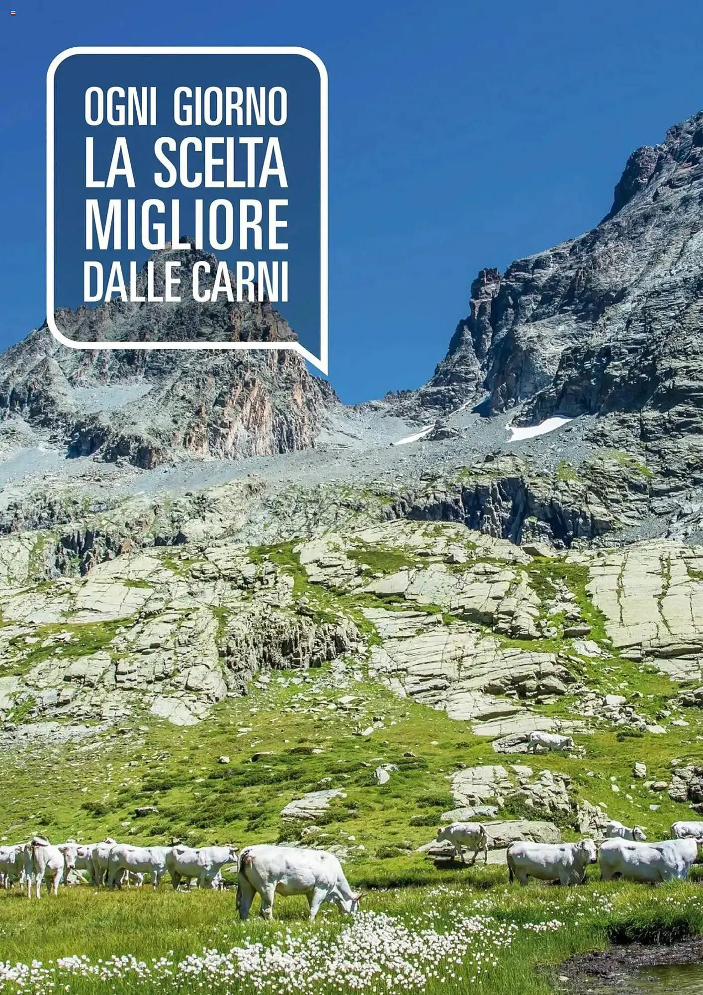 Volantino Basko da 20 maggio a 22 giugno di 2025 - Pagina del volantino 12