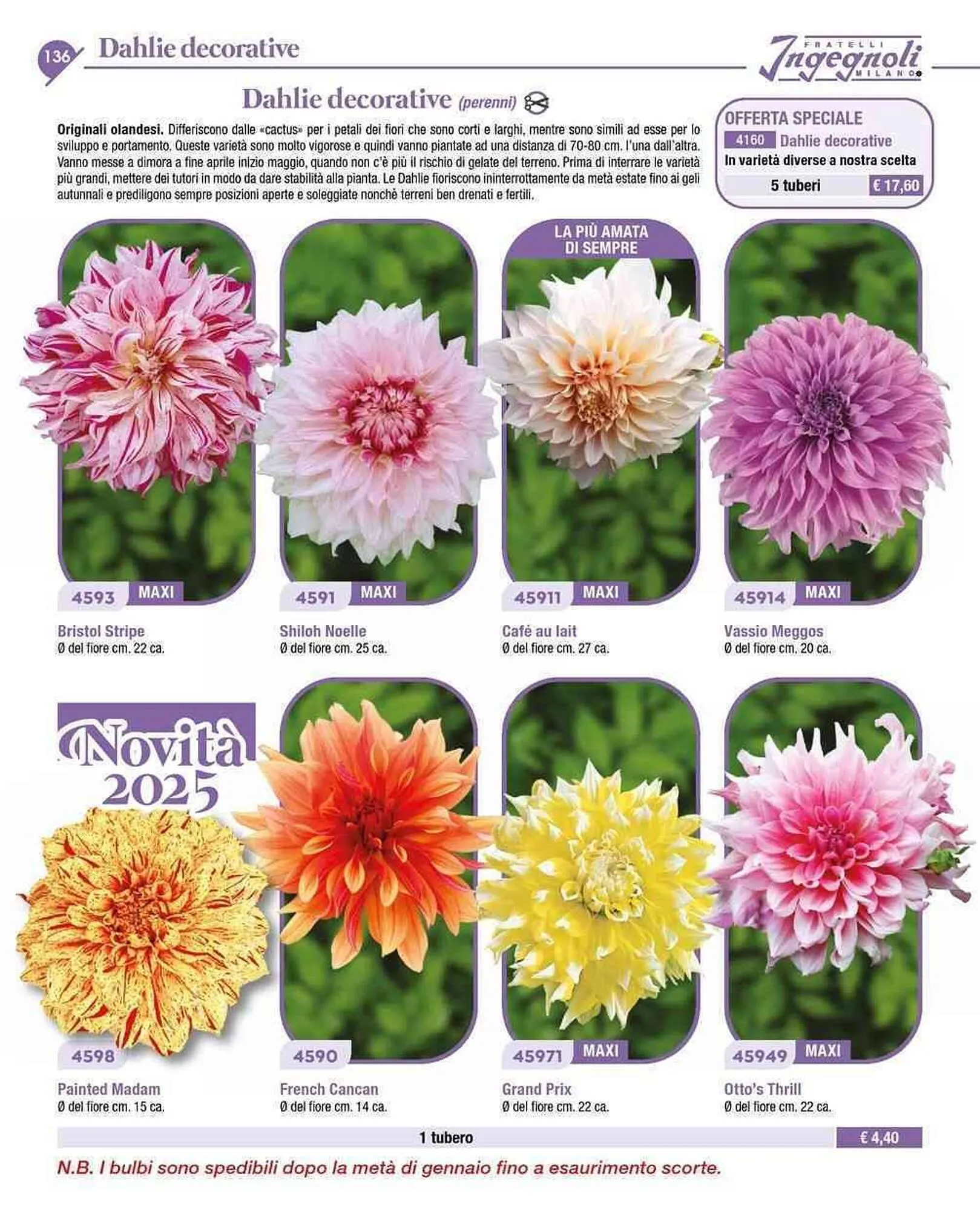 Volantino Ingegnoli da 4 novembre a 31 dicembre di 2025 - Pagina del volantino 9