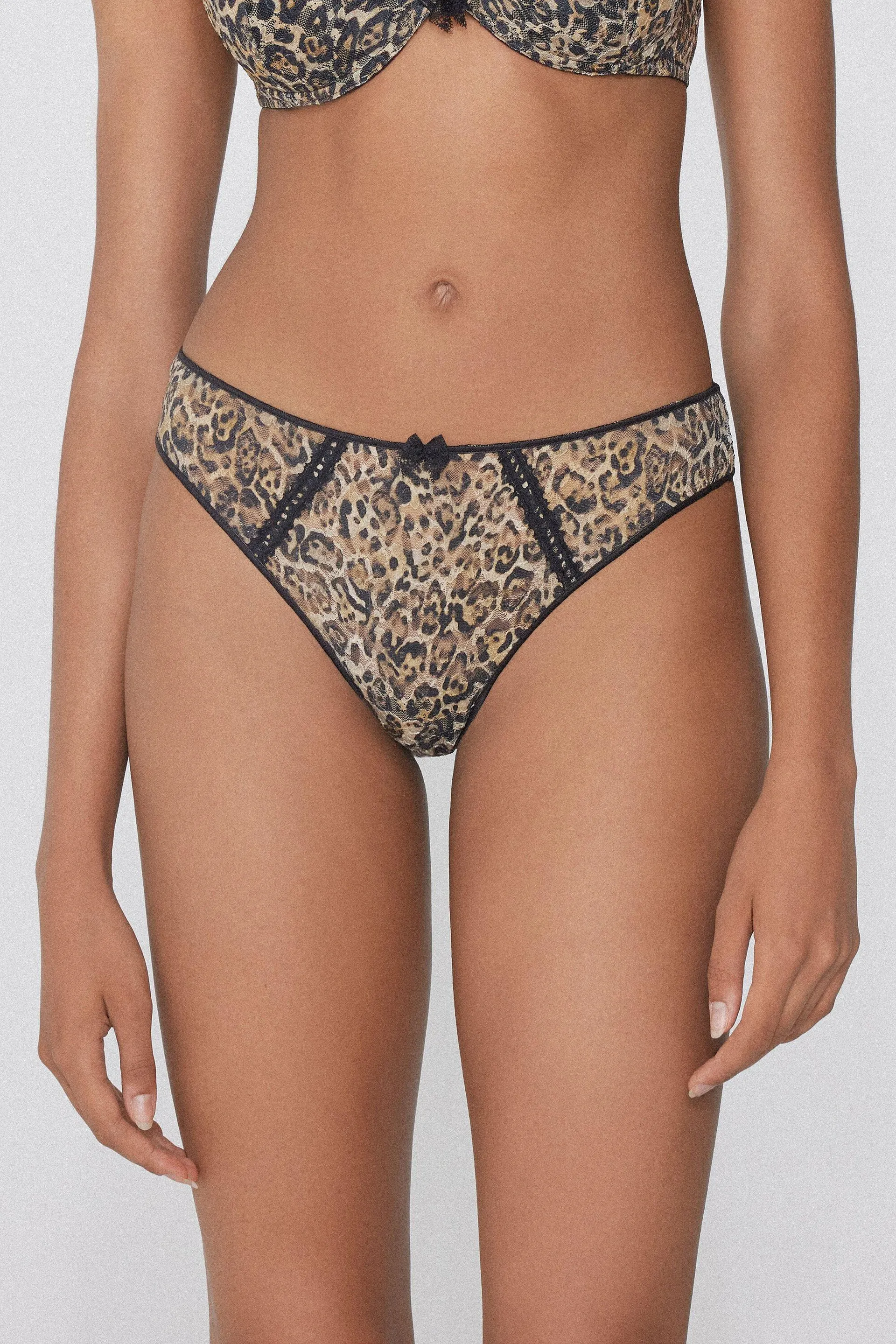 Brasiliano Iconic Leopard Iconic Leopard