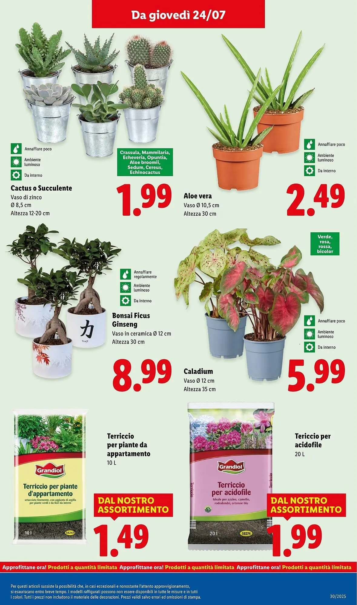 Volantino Lidl da 21 luglio a 27 luglio di 2025 - Pagina del volantino 31