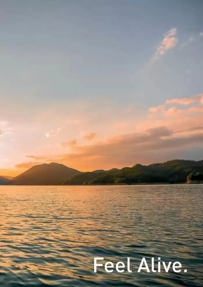 Catalogo 2025 da 4 febbraio a 31 dicembre di 2025 - Pagina del volantino 155