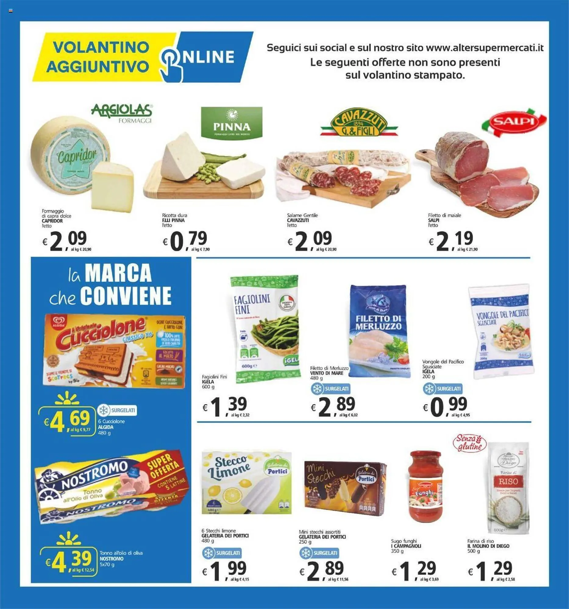 Volantino Alter Discount da 3 ottobre a 13 ottobre di 2024 - Pagina del volantino 13