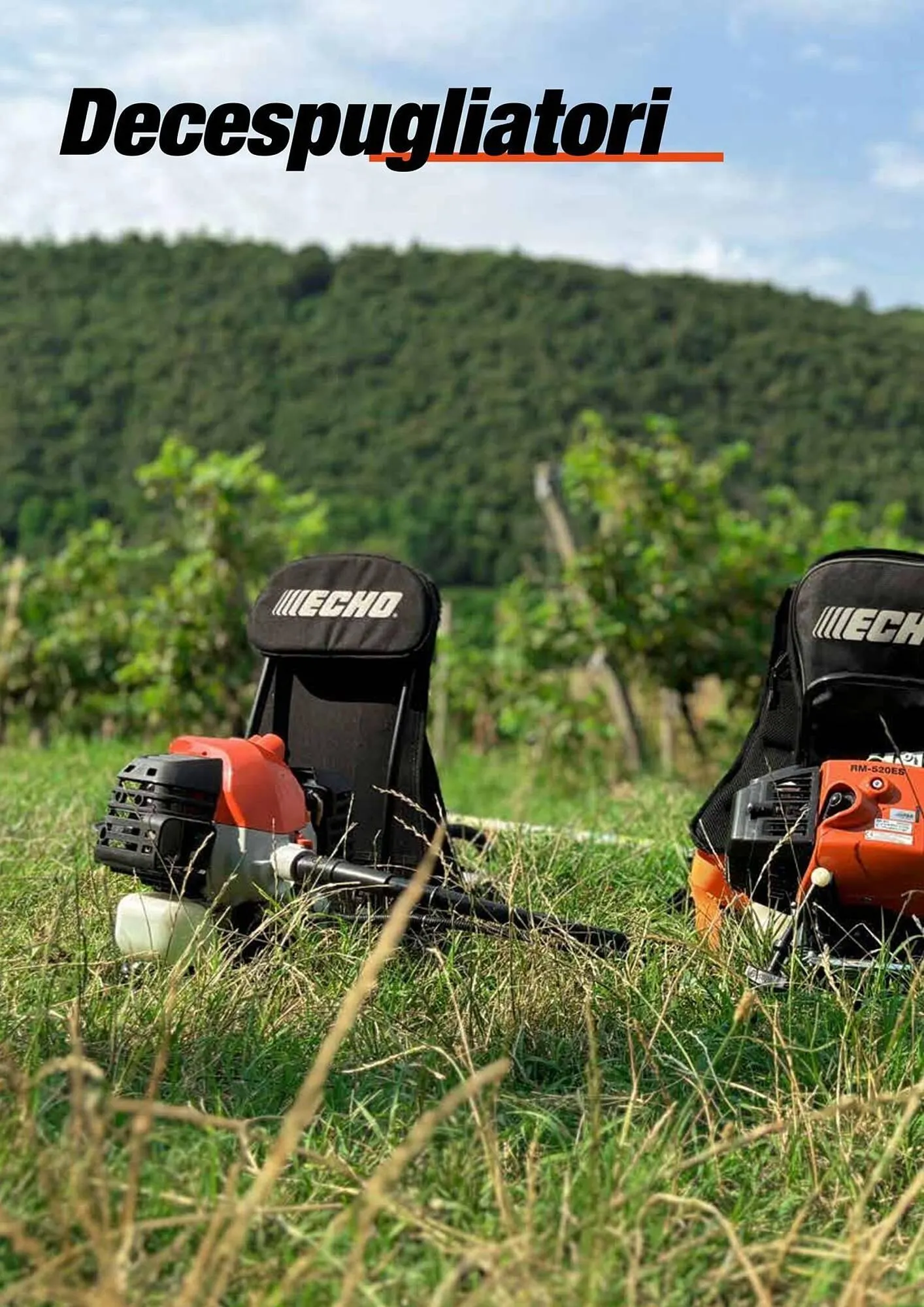 Volantino Echo da 17 febbraio a 31 dicembre di 2025 - Pagina del volantino 50