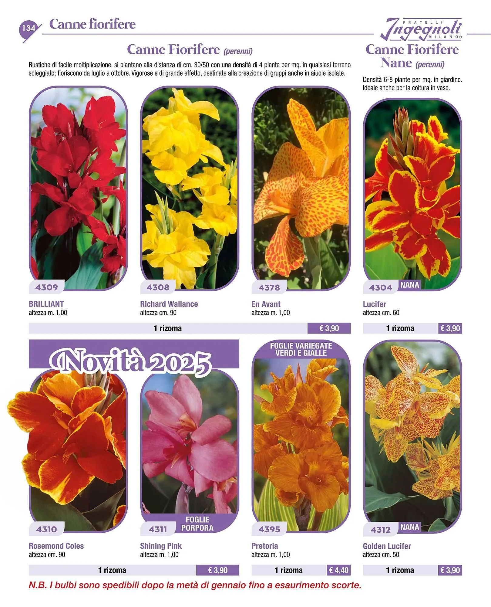 Volantino Ingegnoli da 4 novembre a 31 dicembre di 2025 - Pagina del volantino 136