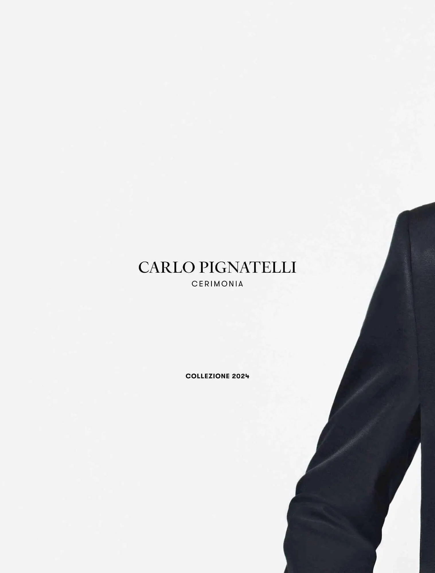 Volantino Carlo Pignatelli da 1 febbraio a 15 febbraio di 2024 - Pagina del volantino 26