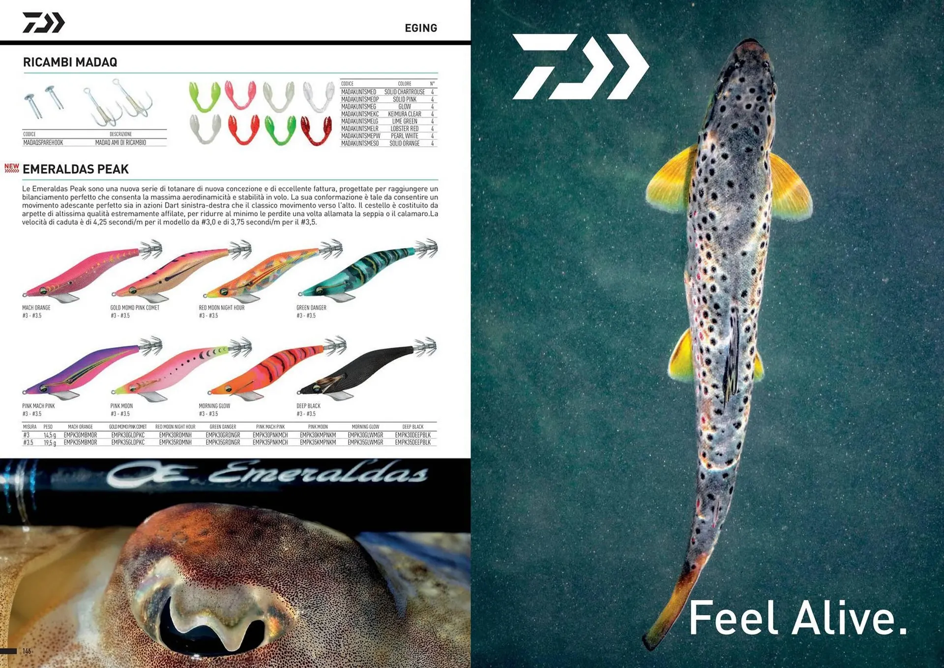 Volantino Daiwa da 13 dicembre a 30 dicembre di 2024 - Pagina del volantino 75