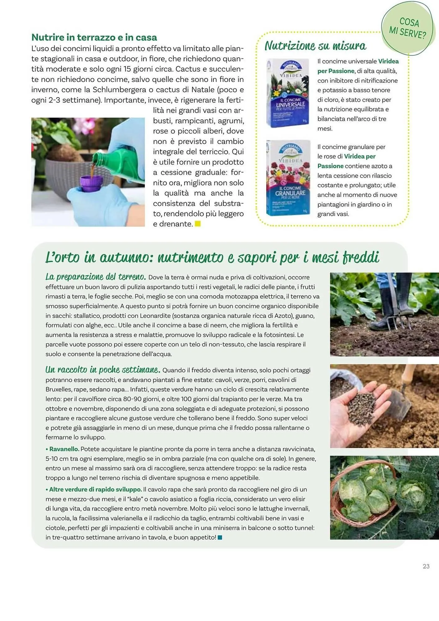 Volantino Viridea da 17 ottobre a 22 dicembre di 2025 - Pagina del volantino 23
