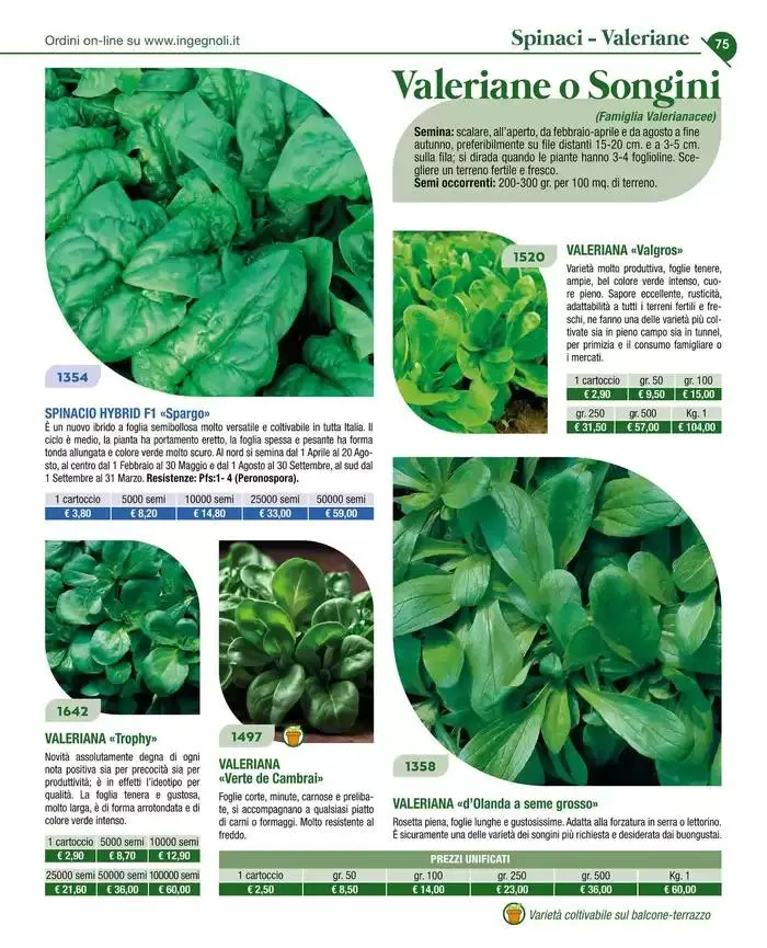 Catalogo guida 2025 da 20 gennaio a 31 dicembre di 2025 - Pagina del volantino 77