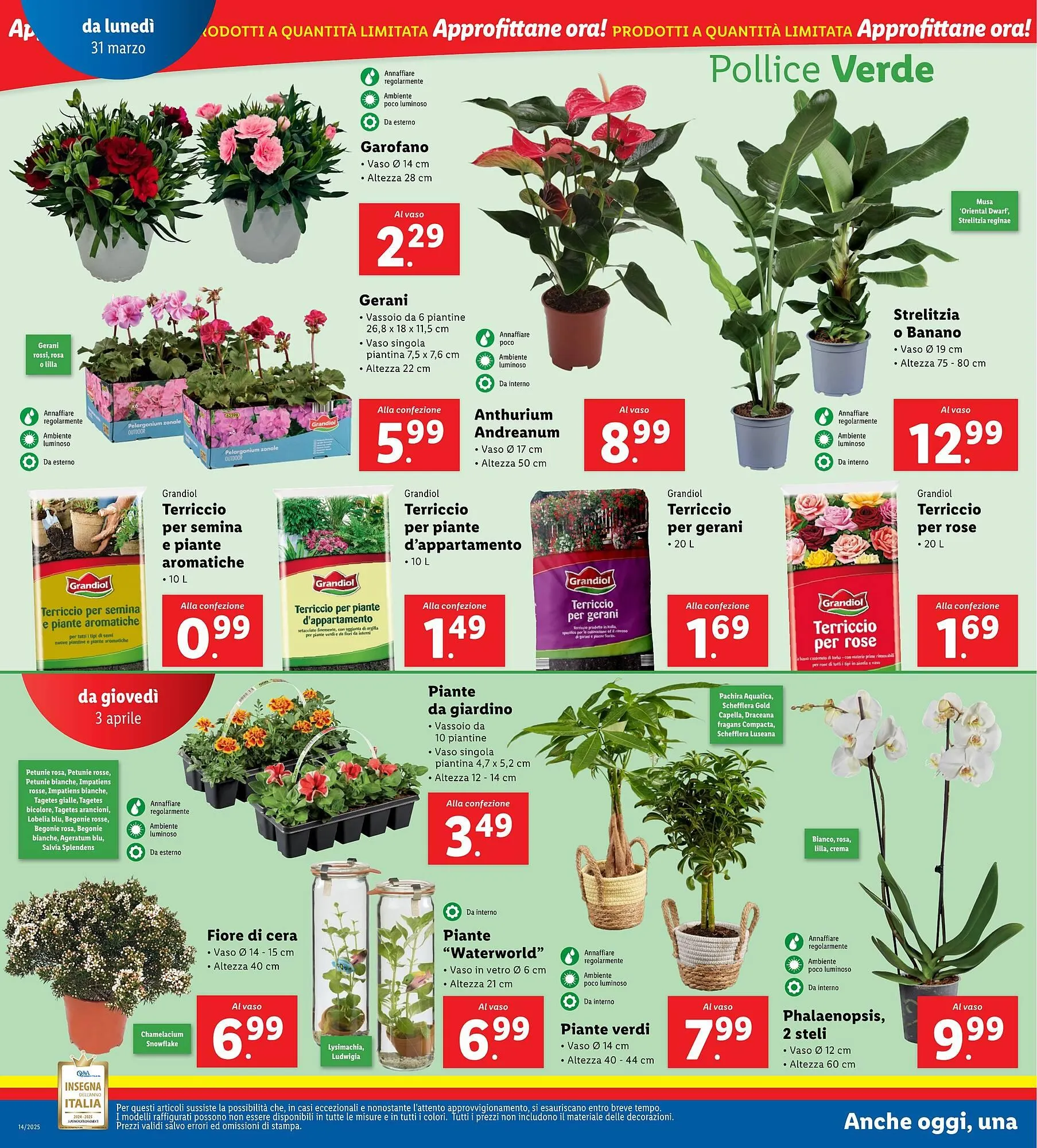 Volantino Lidl da 31 marzo a 6 aprile di 2025 - Pagina del volantino 32