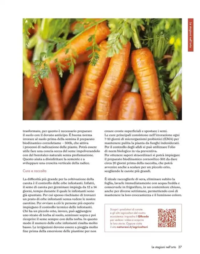 Novembre - Dicembre 2024 da 5 novembre a 31 dicembre di 2024 - Pagina del volantino 19