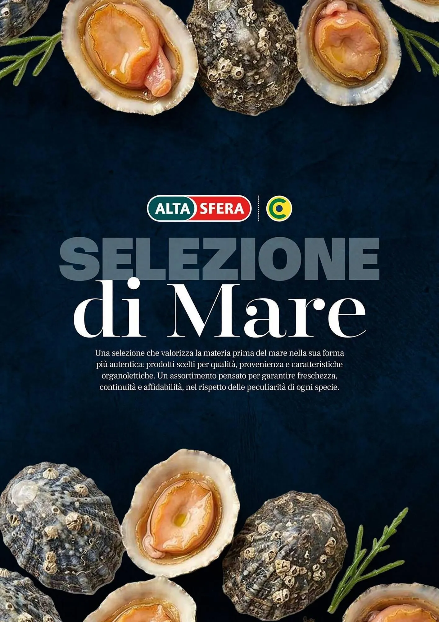 Volantino Centro Cash da 30 aprile a 31 dicembre di 2026 - Pagina del volantino 42