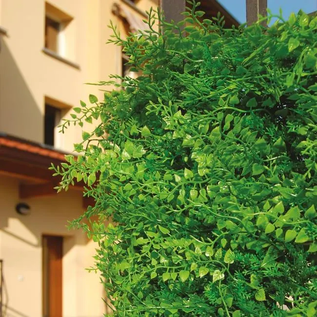 Parete verde artificiale Felce Divy 3D in polietilene alta densità, verde H 1 m x L 1 m