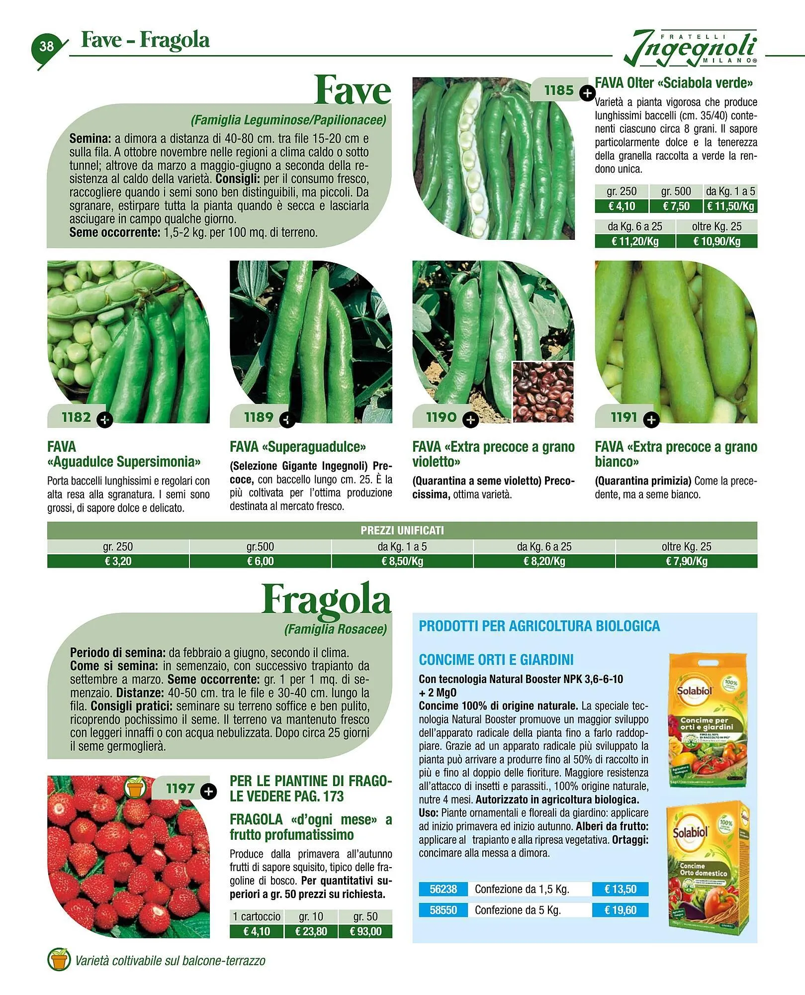 Volantino Ingegnoli da 4 novembre a 31 dicembre di 2025 - Pagina del volantino 40