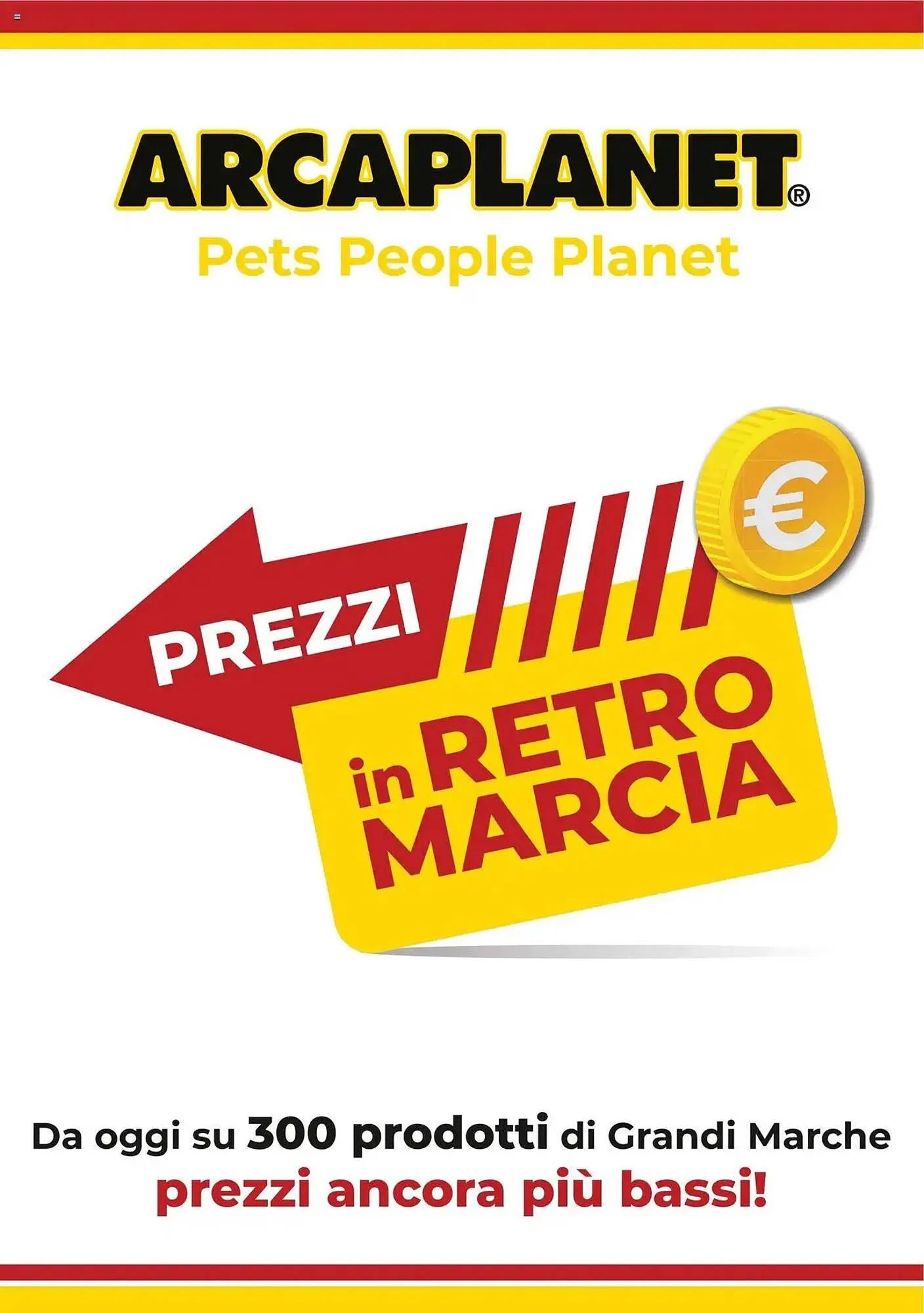 Volantino Arcaplanet - 1