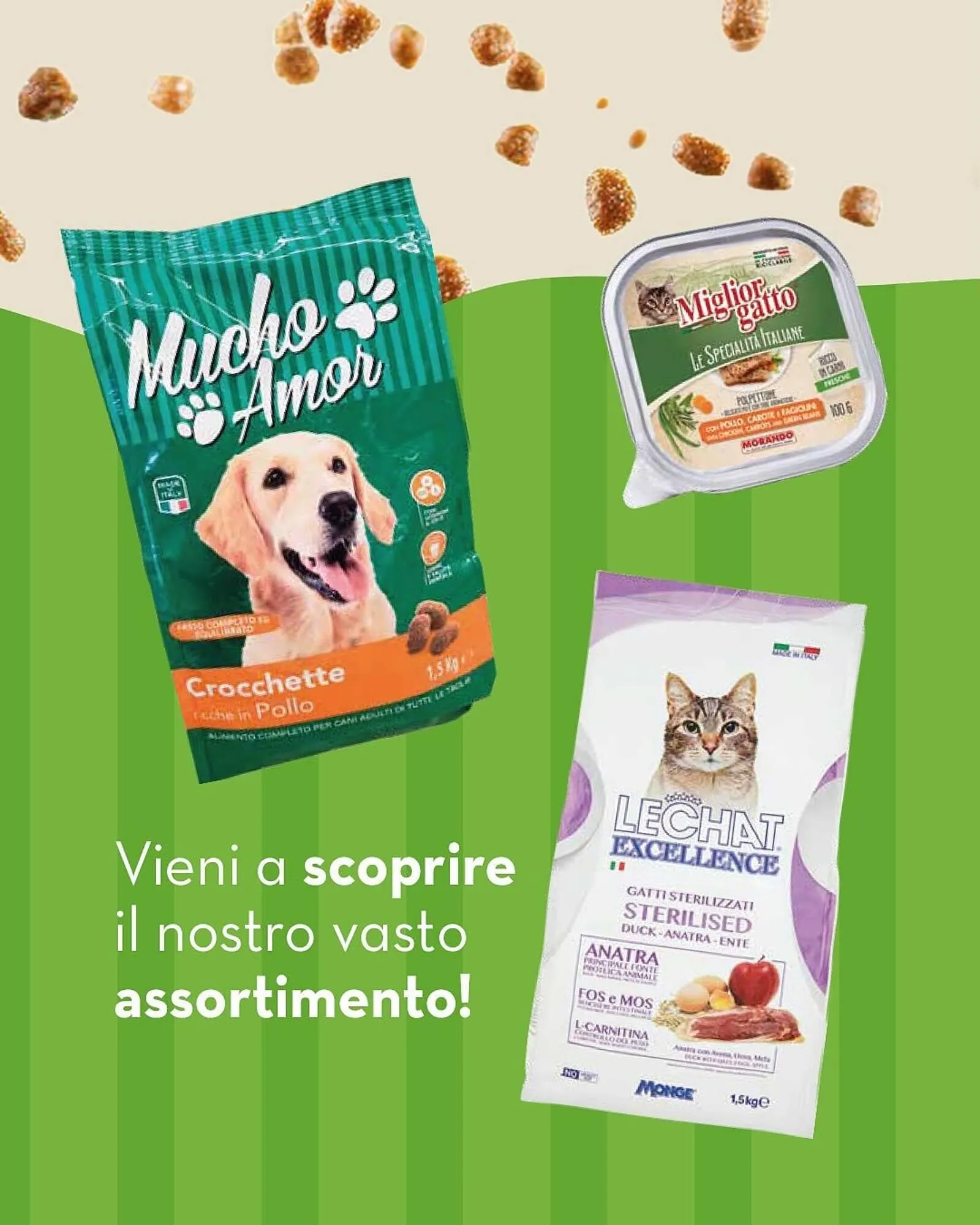 Volantino Splendidi e Splendenti da 19 giugno a 30 giugno di 2025 - Pagina del volantino 1