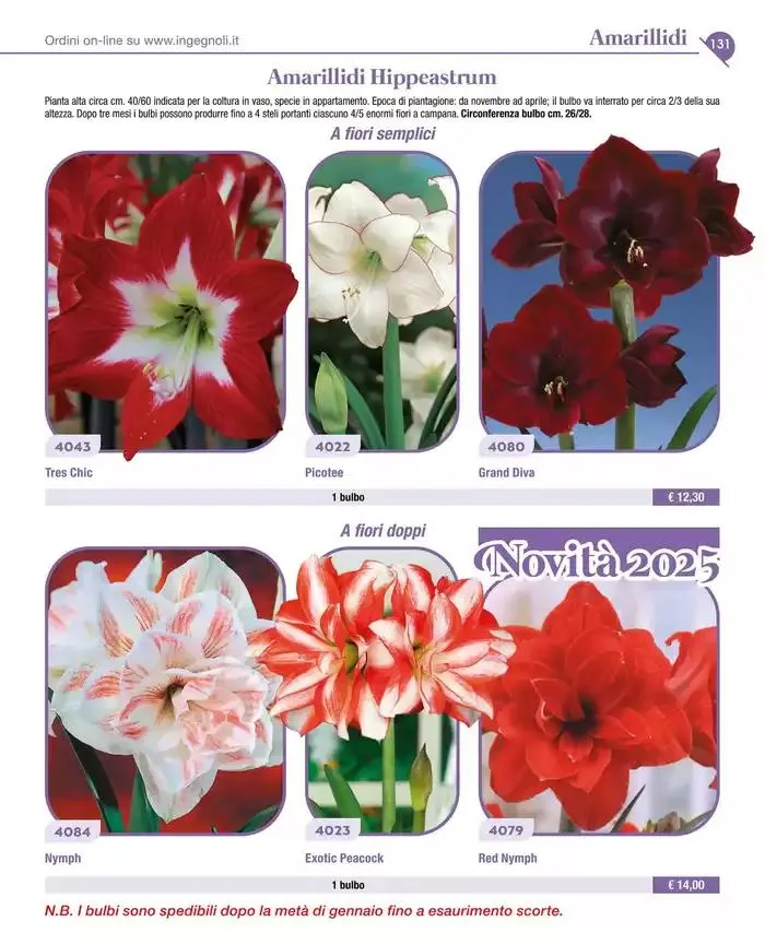 Catalogo guida 2025 da 20 gennaio a 31 dicembre di 2025 - Pagina del volantino 133