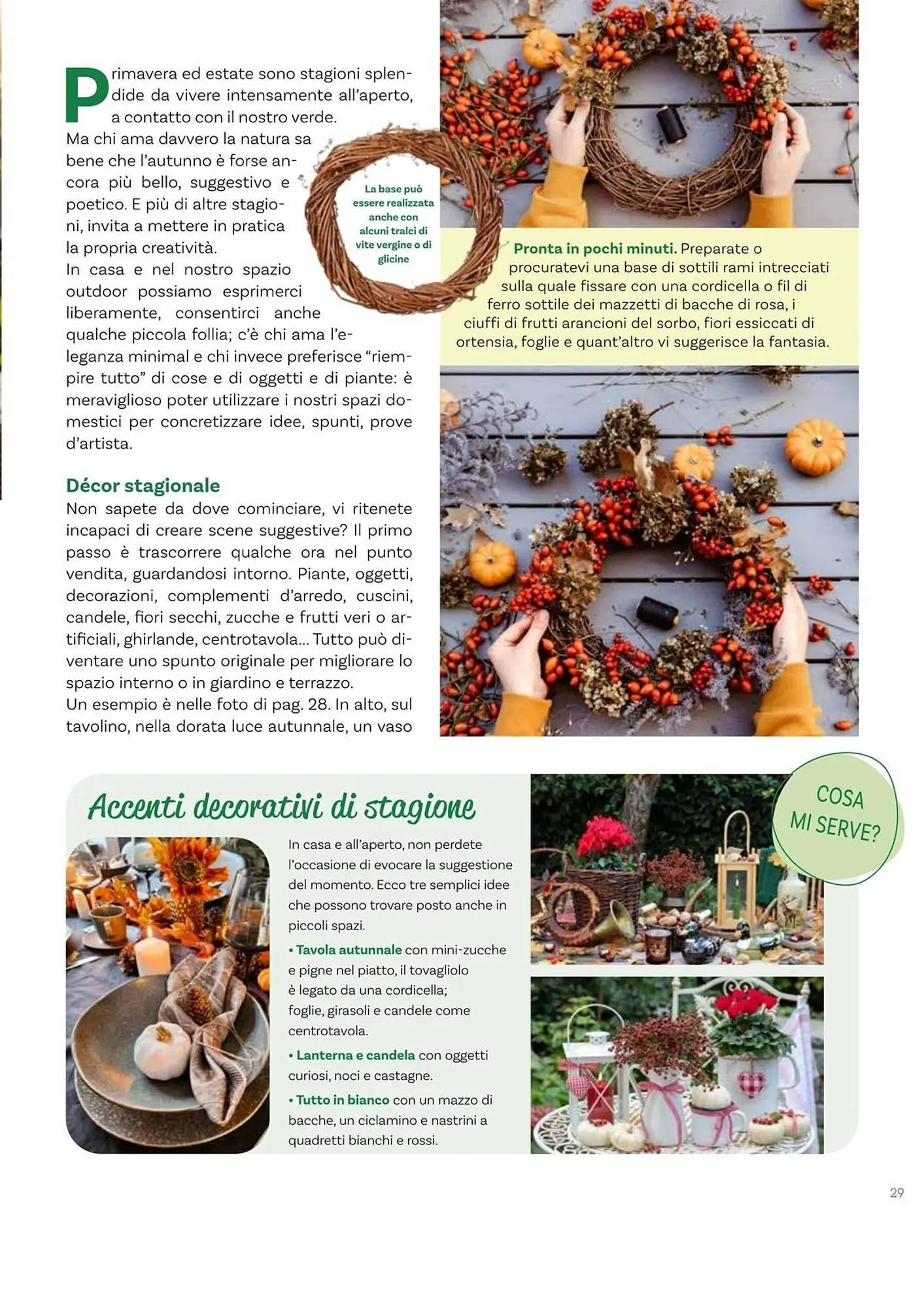 Volantino Viridea da 17 ottobre a 22 dicembre di 2025 - Pagina del volantino 29