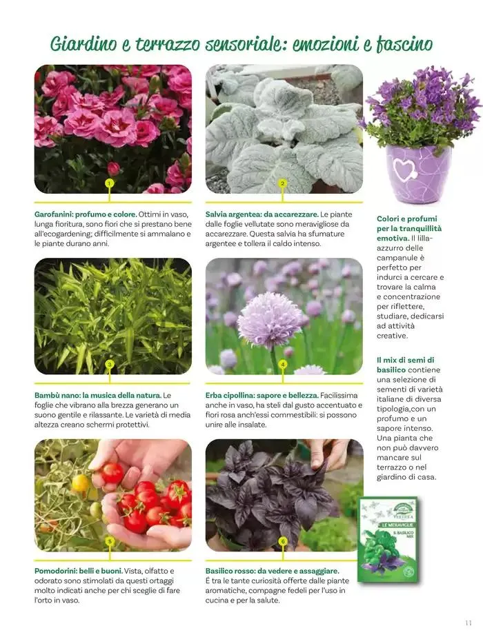 Idee per la vita all' aperto da 18 aprile a 18 maggio di 2025 - Pagina del volantino 11