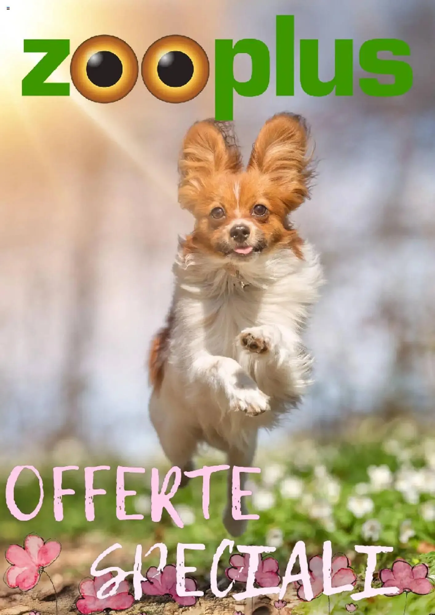 Volantino Zooplus - 1