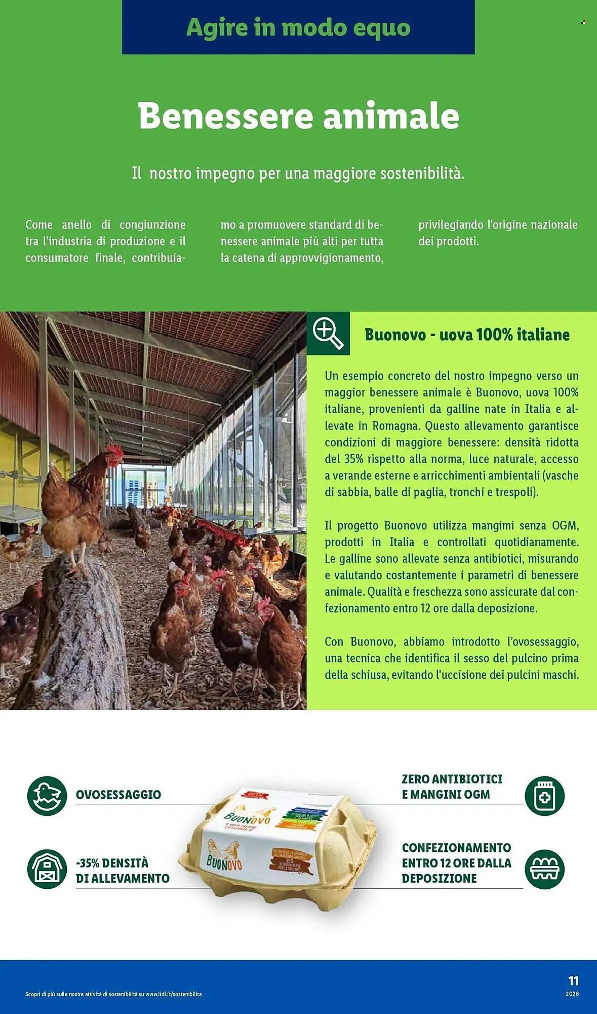 Volantino Lidl da 19 gennaio a 27 gennaio di 2026 - Pagina del volantino 11