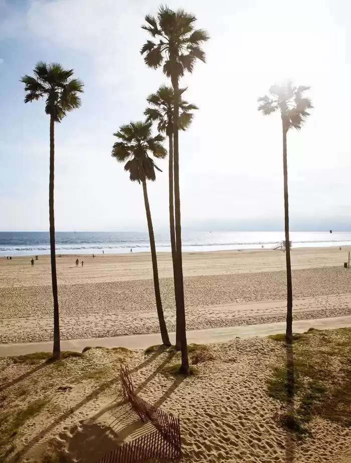 Uomo da 1 ottobre a 31 dicembre di 2024 - Pagina del volantino 7