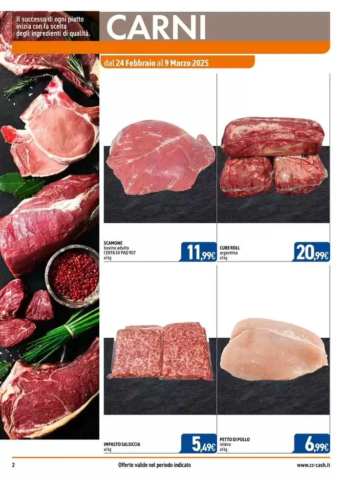 PROFESSIONAL da 24 febbraio a 23 marzo di 2025 - Pagina del volantino 2