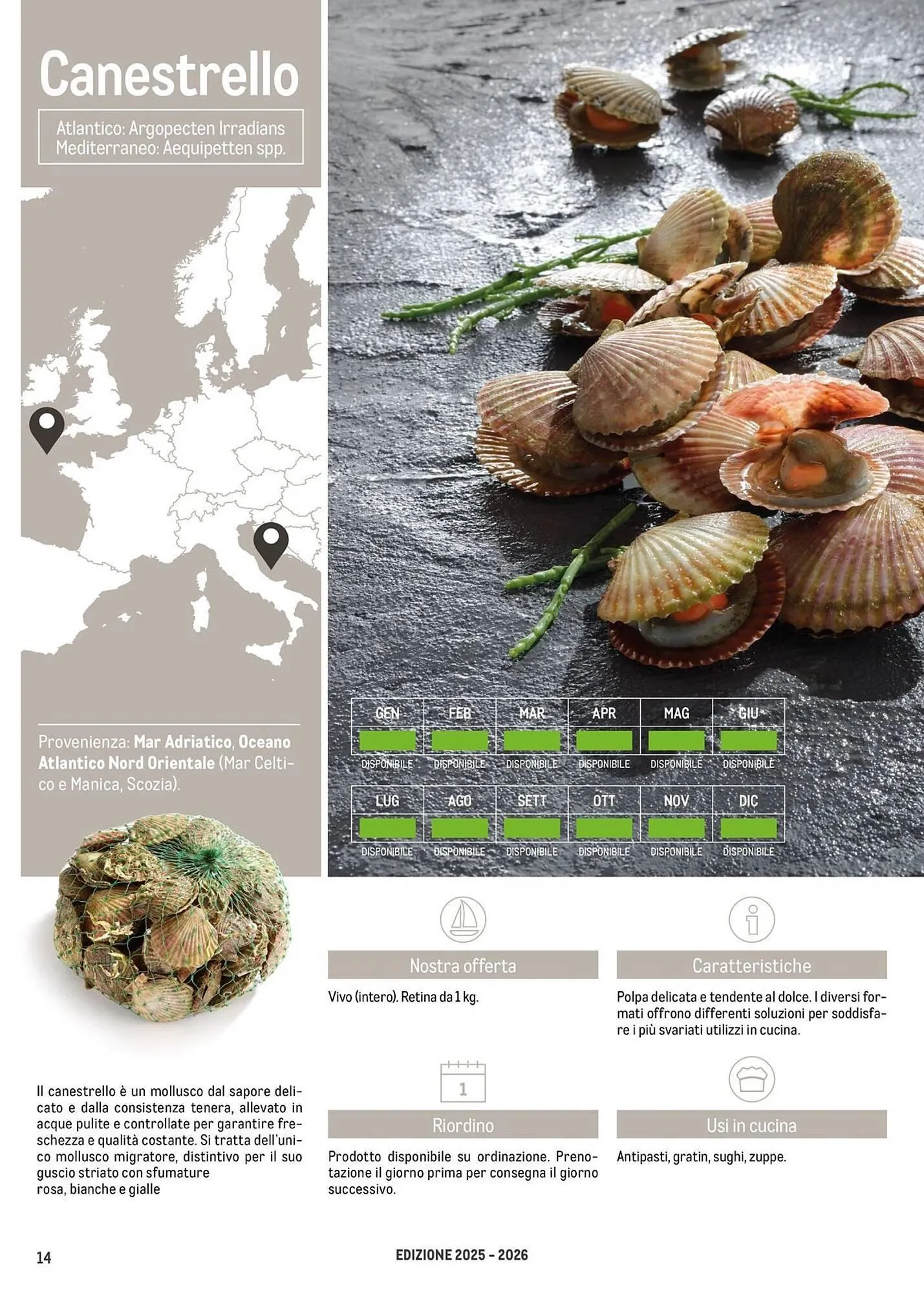 Volantino Metro da 16 giugno a 30 giugno di 2026 - Pagina del volantino 14