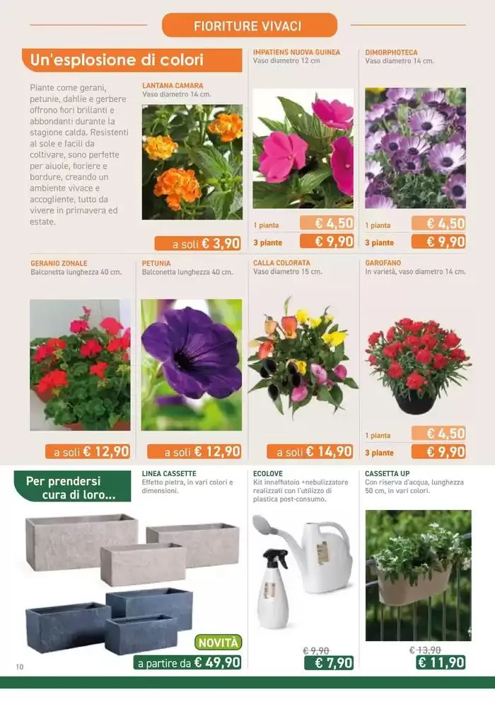 Festa di Primavera da 13 marzo a 13 aprile di 2025 - Pagina del volantino 10