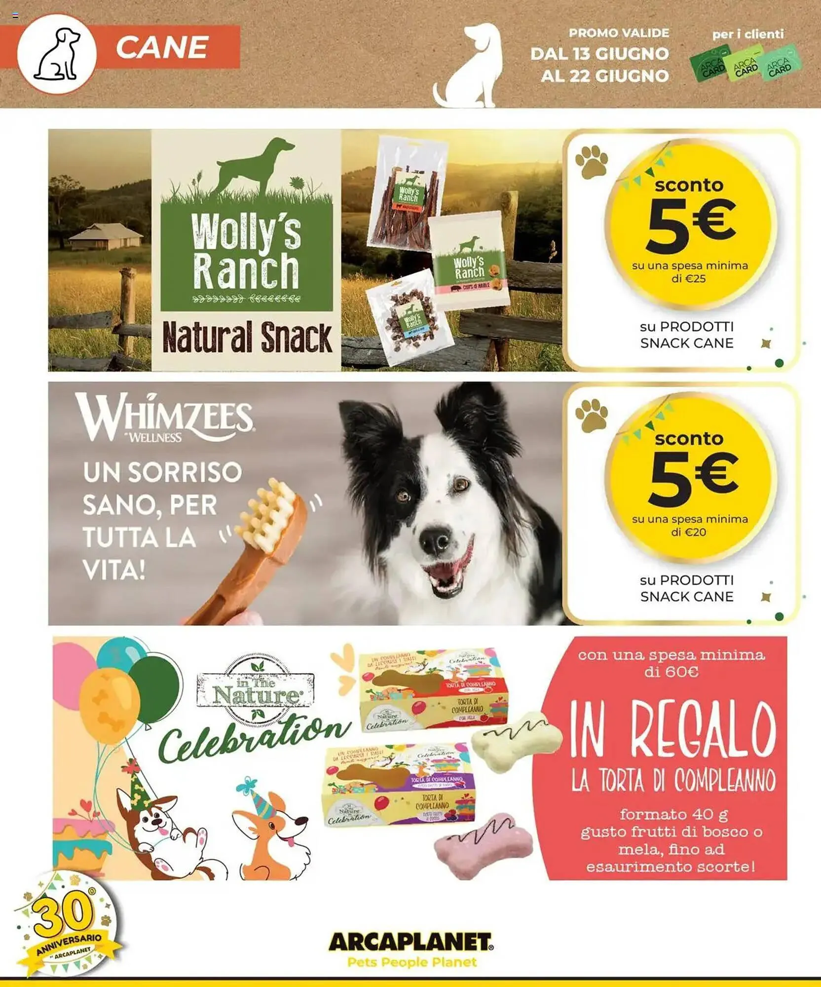 Volantino Arcaplanet da 13 giugno a 22 giugno di 2025 - Pagina del volantino 10