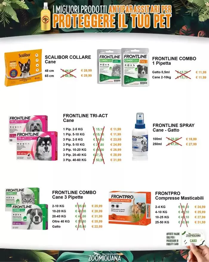 Protegi il tuo pet da 10 marzo a 16 marzo di 2025 - Pagina del volantino 3