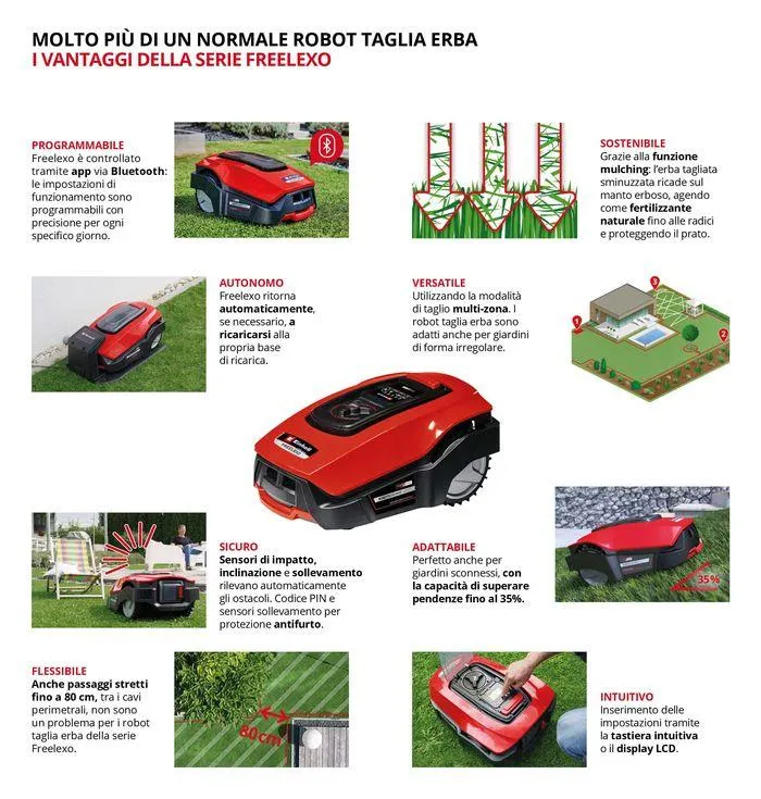 Catalogo da 25 giugno a 31 dicembre di 2024 - Pagina del volantino 7