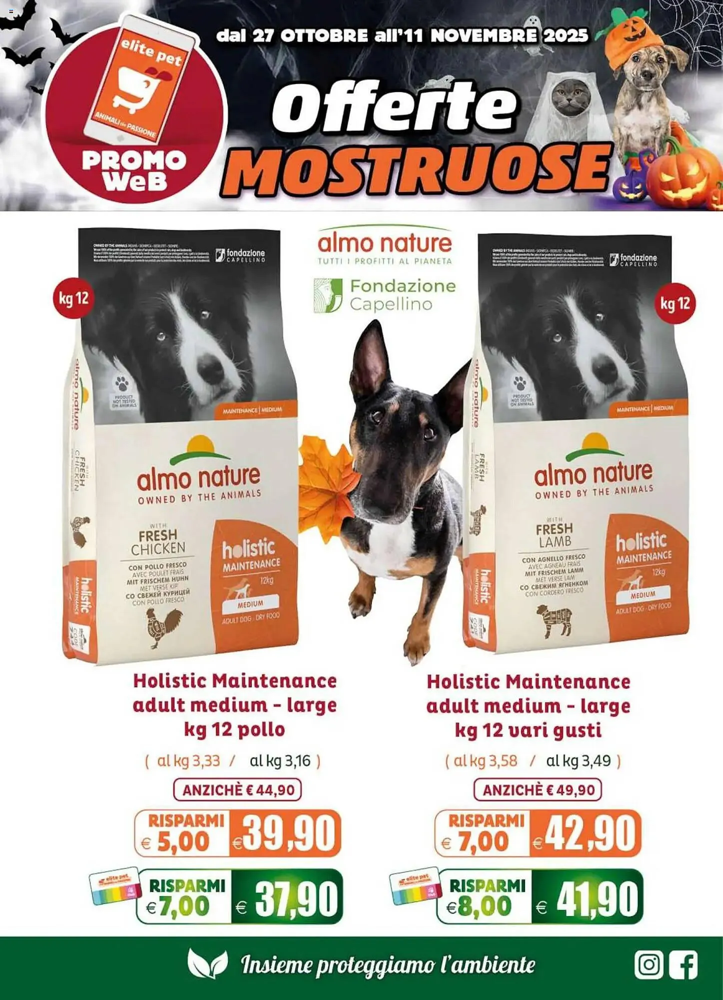 Volantino Elite da 27 ottobre a 11 novembre di 2025 - Pagina del volantino 2