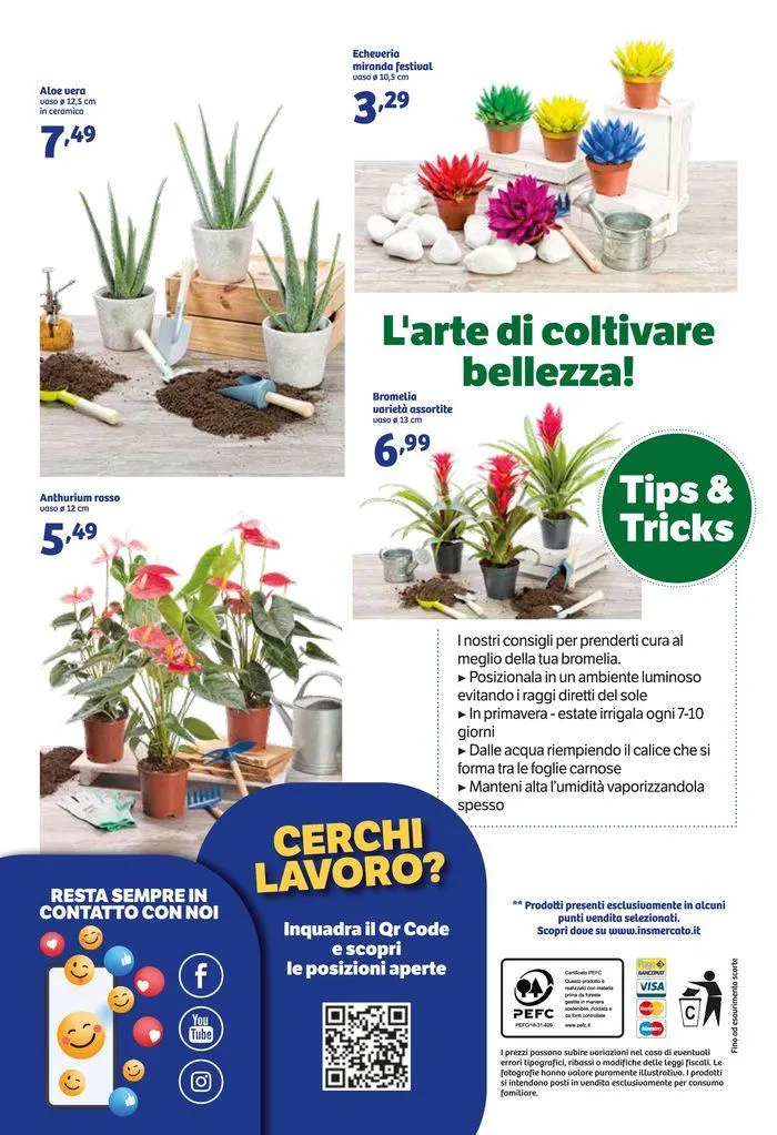 Nutri il tuo spirito olimpico con la nostra Line Bio! da 17 luglio a 28 luglio di 2024 - Pagina del volantino 13