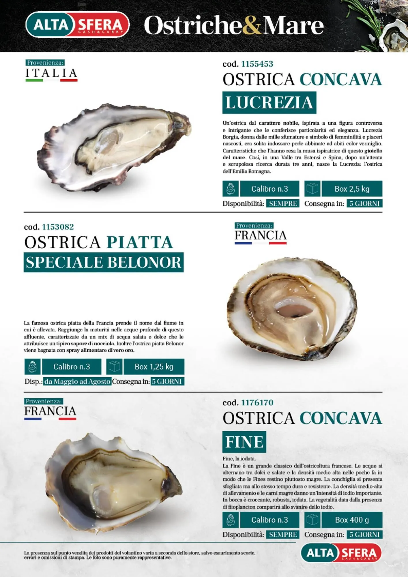 Volantino Altasfera da 14 aprile a 31 dicembre di 2025 - Pagina del volantino 15