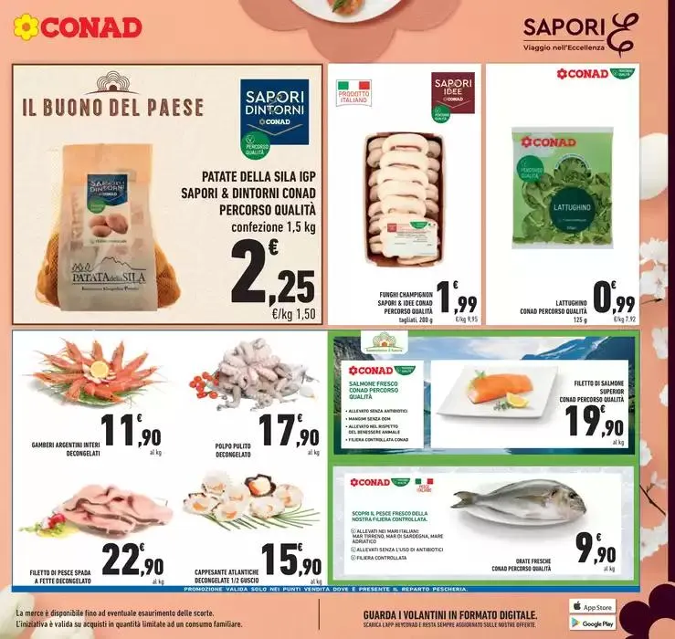 Buona Pasqua da 10 aprile a 19 aprile di 2025 - Pagina del volantino 17