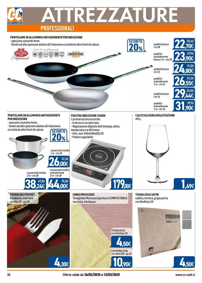 PROFESSIONAL da 24 febbraio a 23 marzo di 2025 - Pagina del volantino 30