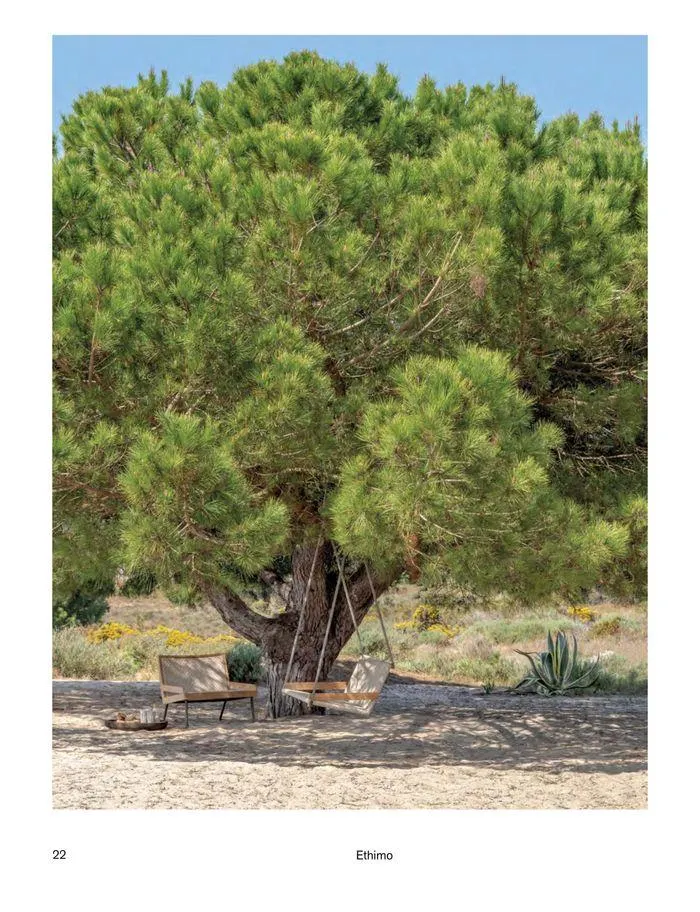 Outdoor decor collections 2024 da 1 febbraio a 30 giugno di 2024 - Pagina del volantino 24