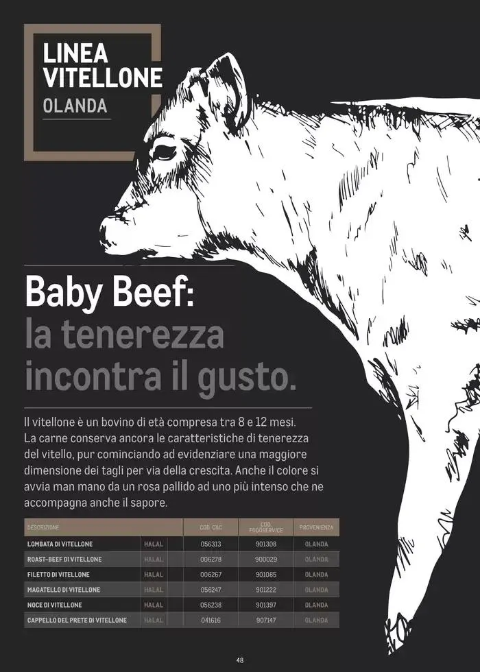 CATALOGO CARNE 2024 da 2 gennaio a 31 agosto di 2025 - Pagina del volantino 48