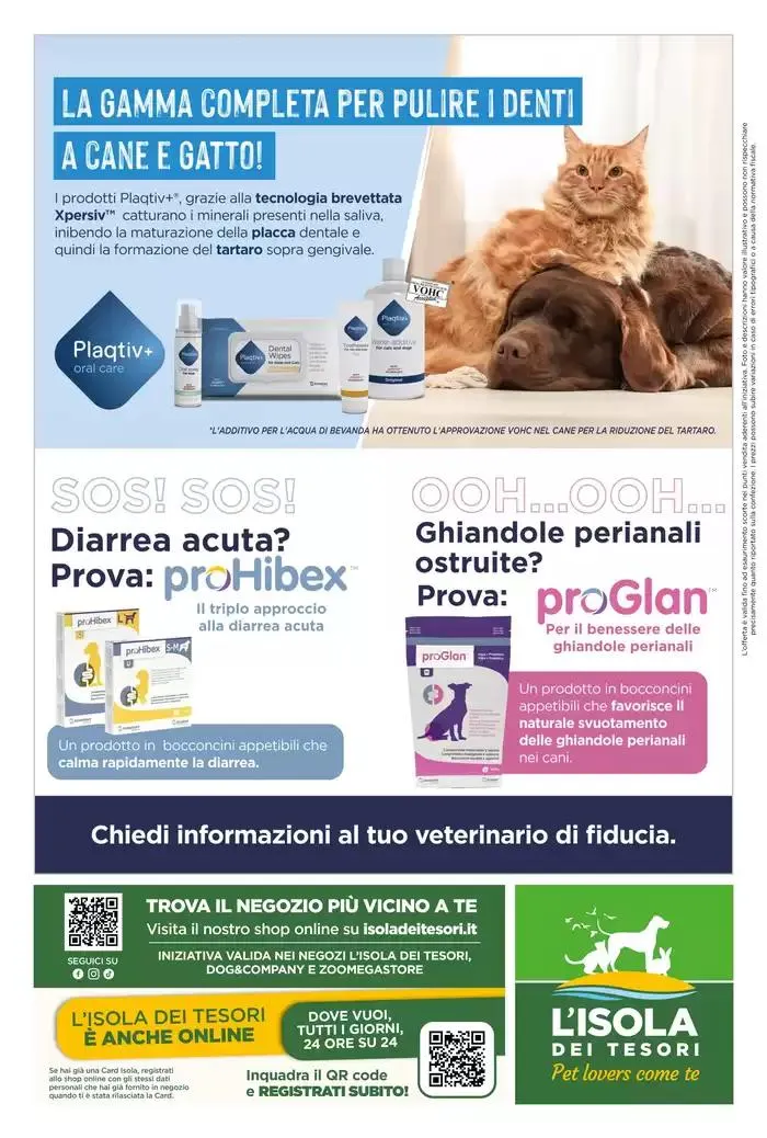 Insieme fin dall'inizio da 30 aprile a 25 maggio di 2025 - Pagina del volantino 16