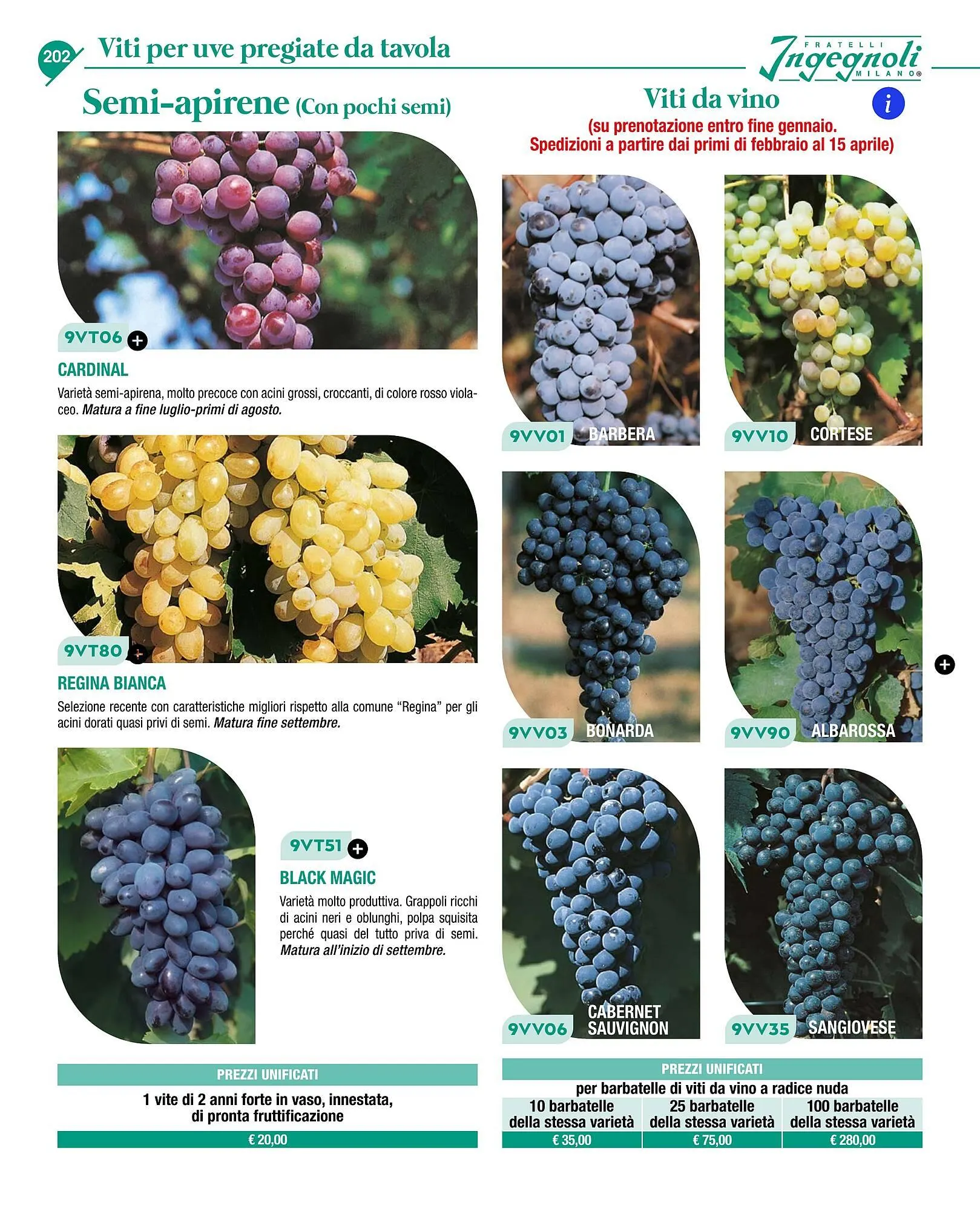 Volantino Ingegnoli da 4 novembre a 31 dicembre di 2025 - Pagina del volantino 204