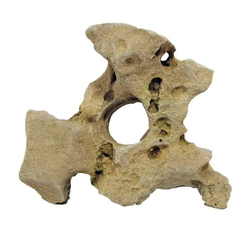 Amtra Roccia Gallura C/Foro S Beige